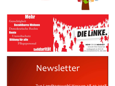 Newsletter_Linke_RTK_Landtagswahl