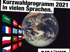 237880499_4600027470028055_4486072091626860335_n.jpg